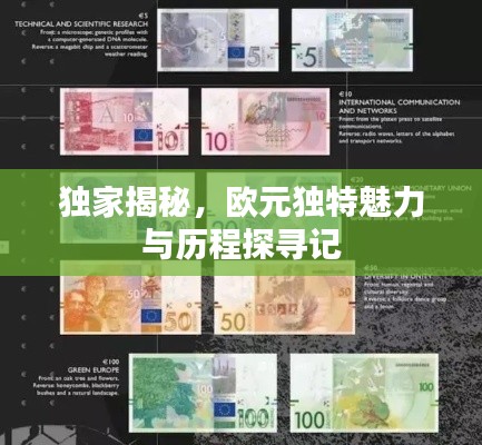 独家揭秘,欧元独特魅力与历程探寻记