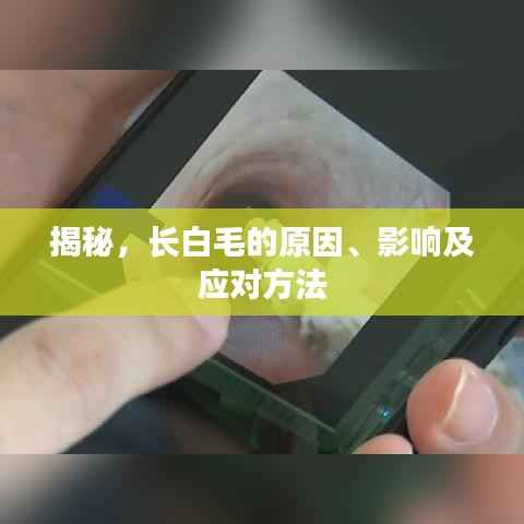 揭秘,长白毛的原因、影响及应对方法