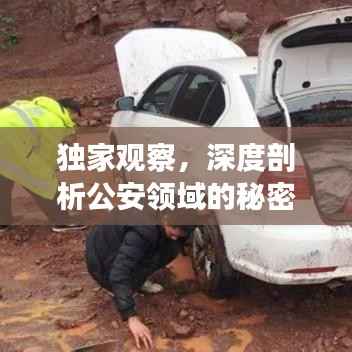 独家观察,深度剖析公安领域的秘密