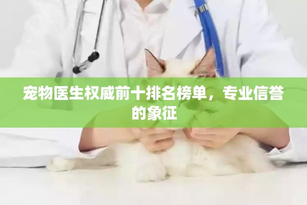 宠物医生权威前十排名榜单,专业信誉的象征