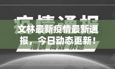 文林最新疫情最新通报,今日动态更新!