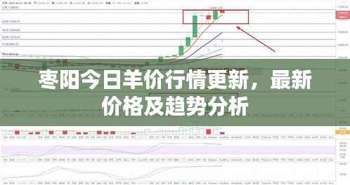 枣阳今日羊价行情更新,最新价格及趋势分析