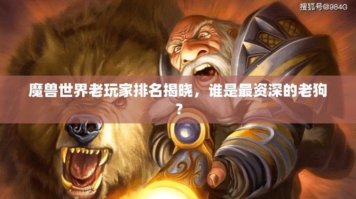 魔兽世界老玩家排名揭晓,谁是最资深的老狗?