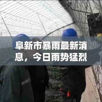 阜新市暴雨最新消息,今日雨势猛烈,城市动态一网打尽
