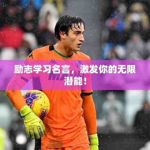 励志学习名言,激发你的无限潜能!