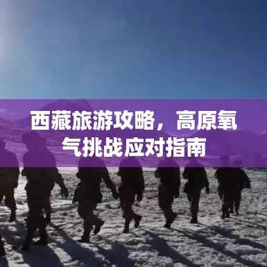 西藏旅游攻略,高原氧气挑战应对指南