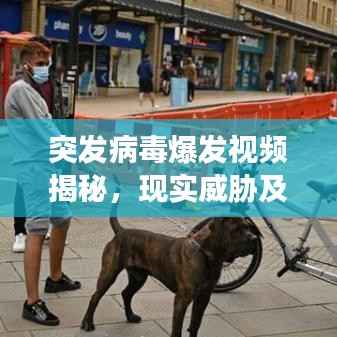 突发病毒爆发视频揭秘,现实威胁及应对策略