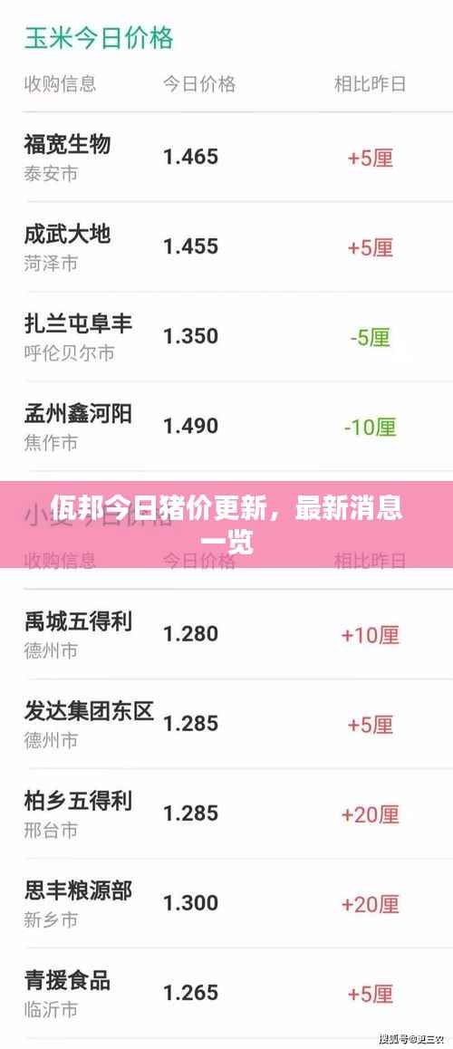 佤邦今日猪价更新,最新消息一览