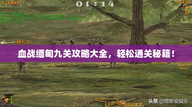 血战缅甸九关攻略大全,轻松通关秘籍!