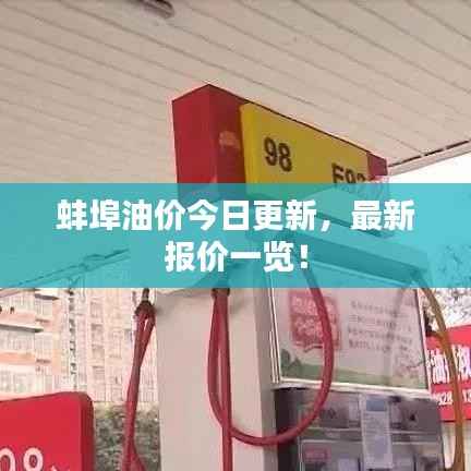 蚌埠油价今日更新，最新报价一览！