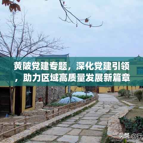 黄陂党建专题,深化党建引领,助力区域高质量发展新篇章