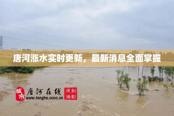 唐河涨水实时更新,最新消息全面掌握