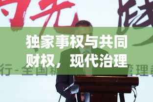 独家事权与共同财权,现代治理新模式的探索之道
