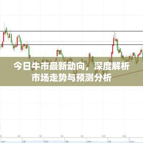 今日牛市最新动向,深度解析市场走势与预测分析