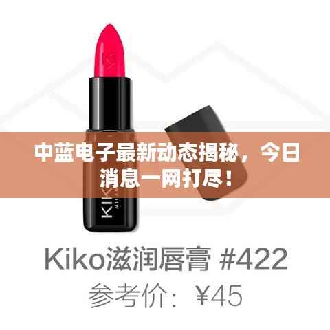 中蓝电子最新动态揭秘,今日消息一网打尽!