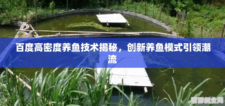 百度高密度养鱼技术揭秘,创新养鱼模式引领潮流