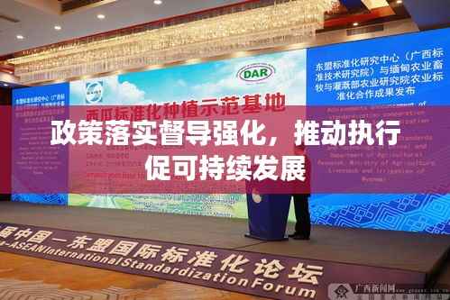 政策落实督导强化,推动执行促可持续发展