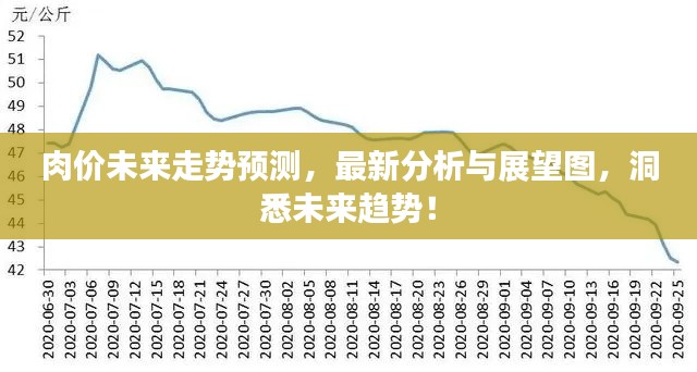 肉价未来走势预测,最新分析与展望图,洞悉未来趋势!