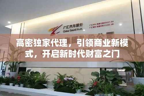高密独家代理,引领商业新模式,开启新时代财富之门