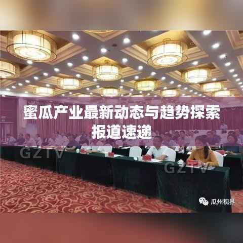 蜜瓜产业最新动态与趋势探索报道速递