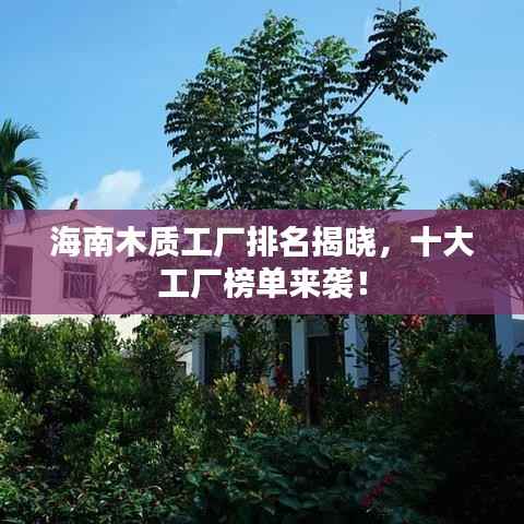 海南木质工厂排名揭晓,十大工厂榜单来袭!