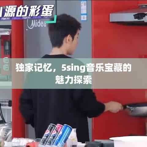 独家记忆,5sing音乐宝藏的魅力探索