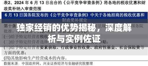 独家经销的优势揭秘,深度解析与实例佐证