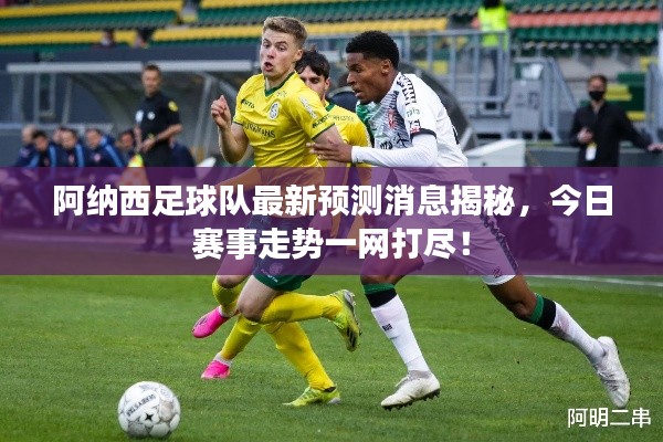 阿纳西足球队最新预测消息揭秘,今日赛事走势一网打尽!