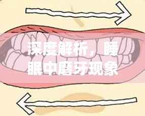 深度解析,睡眠中磨牙现象的原因与影响