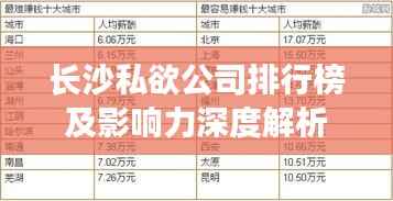 长沙私欲公司排行榜及影响力深度解析
