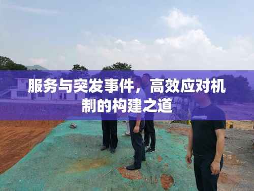 服务与突发事件,高效应对机制的构建之道