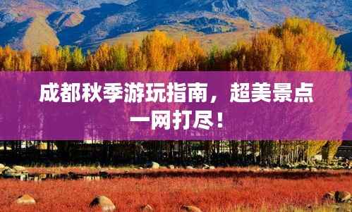 成都秋季游玩指南,超美景点一网打尽!