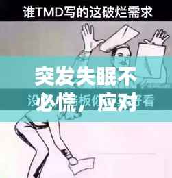 突发失眠不必慌,应对策略助你好眠,提升睡眠质量!