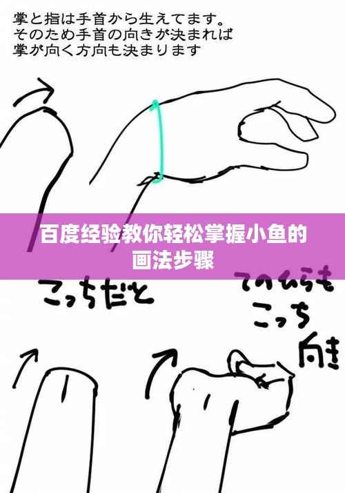 百度经验教你轻松掌握小鱼的画法步骤
