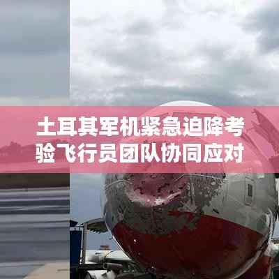土耳其军机紧急迫降考验飞行员团队协同应对能力
