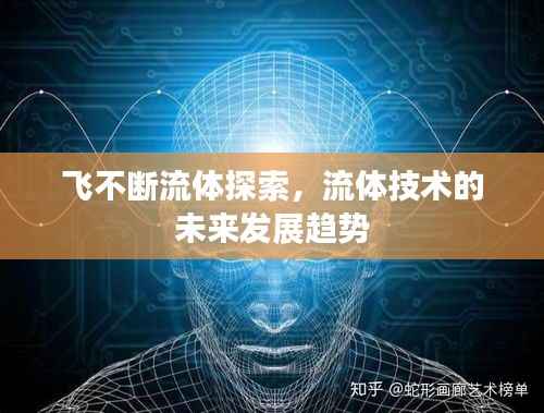 飞不断流体探索,流体技术的未来发展趋势