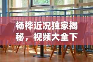 杨桦近况独家揭秘，视频大全下载，名人生活最新动态一网打尽