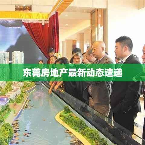 东莞房地产最新动态速递