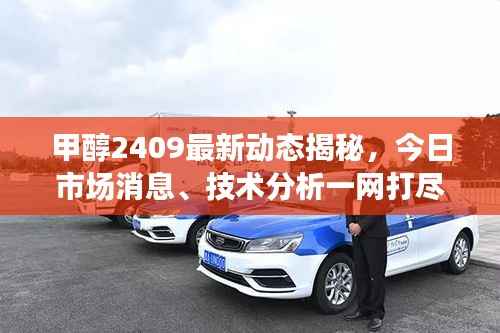 甲醇2409最新动态揭秘，今日市场消息、技术分析一网打尽