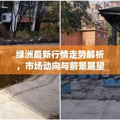 绿洲最新行情走势解析,市场动向与前景展望图!