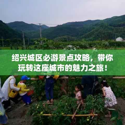 绍兴城区必游景点攻略,带你玩转这座城市的魅力之旅!